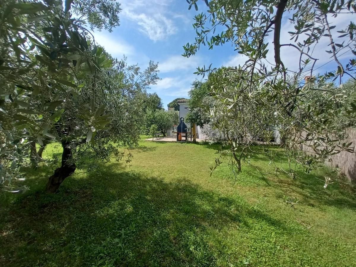 Holiday House Chill Out Loborika Marcana Экстерьер фото